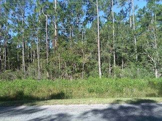 10635 Crotty Ave, Hastings, FL 32145