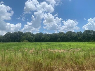 0 Lower Tyty Rd, Ty Ty, GA 31795