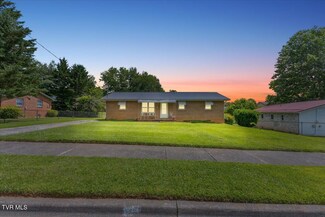 313 Peach Blossom Ct, Johnson City, TN 37604