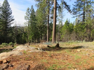 1311 Quartz Mountain Rd, West Point, CA 95255
