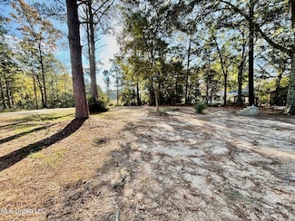 1011 Eastover Ln, McComb, MS 39648