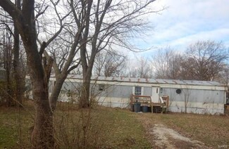 103 N Roosevelt St, Bellflower, MO 63333