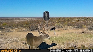 Lot 6 Rockhouse Loop, Dryden, TX 78851