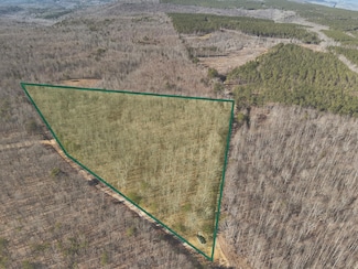 0 Palmer Firetower Rd Unit 20250452, Palmer, TN 37365