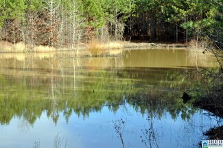 459 River Ranch Rd, Ragland, AL 35131