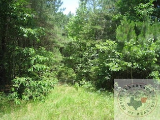 TBD Cr 2113, Queen City, TX 75672