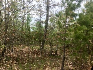 21629 Hunter Dr, Summersville, MO 65571