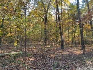 02 Ar 223 Hwy, Calico Rock, AR 72519