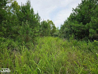 0 Tract 15 0 County Road 30 Unit 22384509, Brilliant, AL 35548