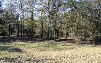 TBD 93rd Place, Live Oak, FL 32060