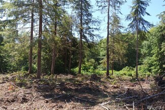 0 Willie Ln, Onalaska, WA 98570