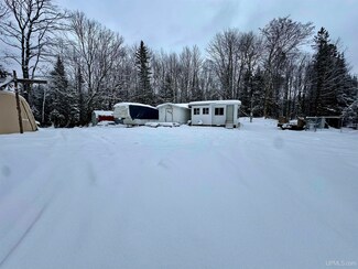 3212 N State Hwy M67 Hwy, Limestone, MI 49816