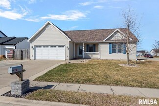 67 Ronanderson, New Berlin, IL 62670