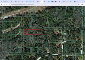 0000 No Street Address, Fort McCoy, FL 32134