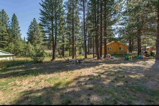 214 Calpine Ave, Calpine, CA 96124