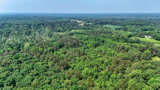 0 Hardin Graveyard Rd Leapwood Enville Rd Unit 134251, Adamsville, TN 38310
