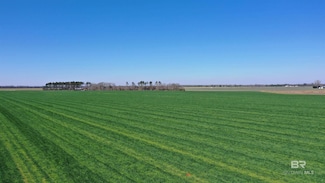 Lot 5 Davis Pond Rd, Atmore, AL 36502