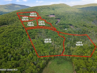 10 Galway Rd, Windham, NY 12496