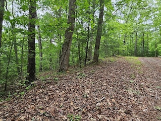 6 Heather Ln, Murphy, NC 28906