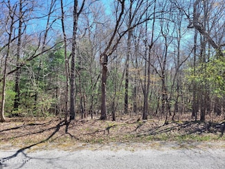 118 Dalefield Loop, Crossville, TN 38558
