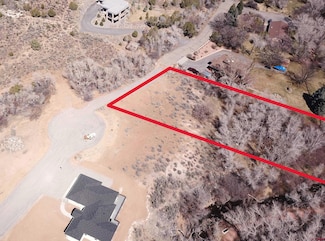 TBD SE 3rd Lot 5 Will-O-way Subdivision St, Cedaredge, CO 81413