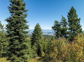 0 Nhn Lone Elk Trail, Kila, MT 59920