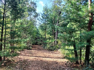 Cumberland Court Dr, Friendship, WI 53934