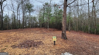 11 Arbor Creek Trail, Mineral Bluff, GA 30559