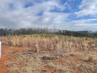 0 Grissom Ferry Rd Unit 22687348, Cropwell, AL 35054