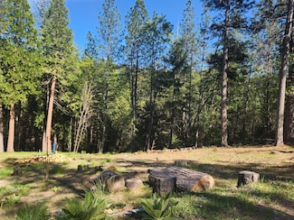 5508 5 Spot Rd, Pacific House, CA 95726