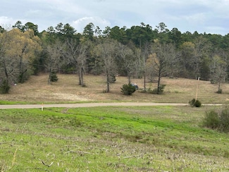 13673 Young Gravelly Rd, Gravelly, AR 72838