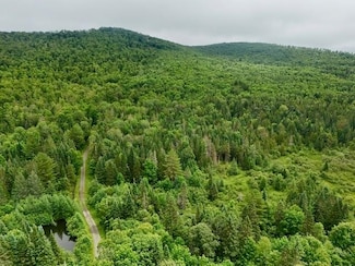796 New Duck Pond Rd, Sheffield, VT 05866