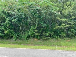 0 Wild Ave Unit 11931368, Evergreen, AL 36401