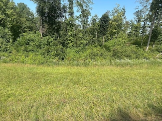 Lot 28 Rock Springs Rd, Celina, TN 38551