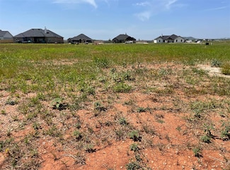 149 Sparrow Hills Ln, Tuscola, TX 79562