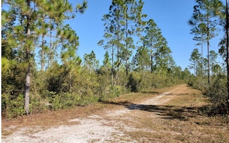 0 Brown Rd Unit 123988, Lee, FL 32059