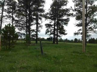 46 Kip Ridge Trail, Sundance, WY 82729