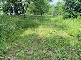 11110 Mulberry Rd, Neosho, MO 64850