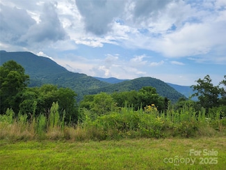 35 Ron's Ridge, Waynesville, NC 28785