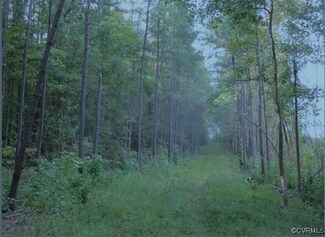 Lot 6 Nottoway River Farms, Mc Kenney, VA 23872