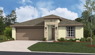 Duranta, Weslaco, TX 78599