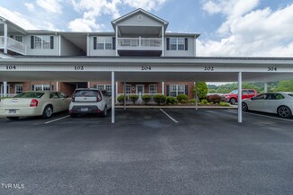 712 Sir Echo Dr Unit 204, Kingsport, TN 37663
