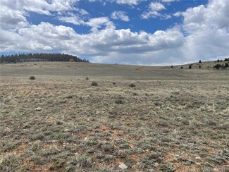 00000 Chickasaw Rd, Hartsel, CO 80449