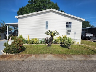 9811 Birch Way, Tampa, FL 33635
