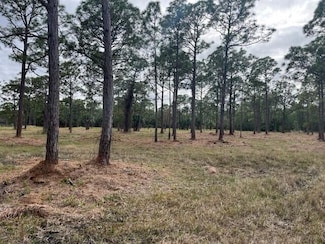 0000 Govan Ave, Malabar, FL 32950