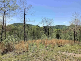 TBD Tract 2 N Chaparral Ln, Mena, AR 71953