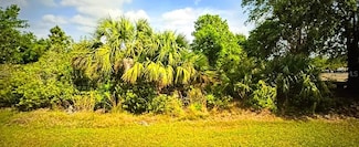 27178 Jordan Ave, Punta Gorda, FL 33983