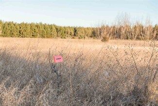 L3 4th Ave, Coloma, WI 54930