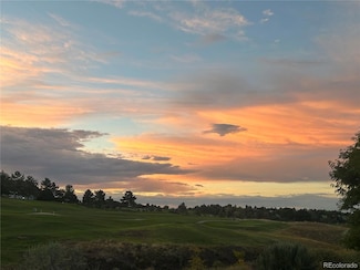 9851 Greensview Cir, Lone Tree, CO 80124