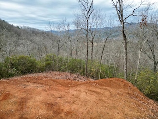 Lot 42 Valley River Vista, Marble, NC 28905
